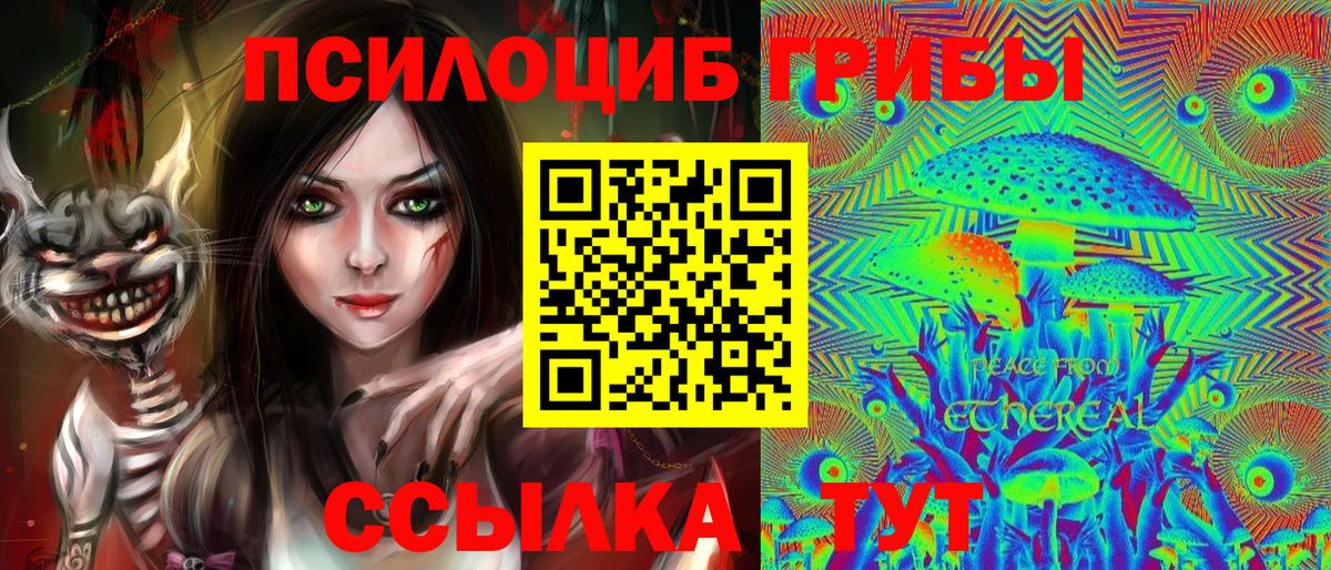 Саяногорск  Псилоцибиновые грибы Psilocybe  Псилоцибиновые грибы MAGIC MUSHROOMS  Вход с VPN 