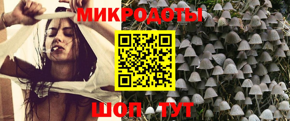 Псилоцибиновые грибы MAGIC MUSHROOMS Саяногорск